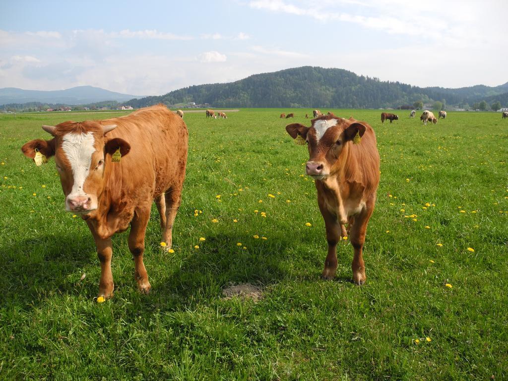 Ferienwohnung Sima Velden am Wörthersee Zewnętrze zdjęcie